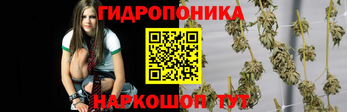 Марихуана марихуана  Вход с VPN  Марихуана MAZAR  Канабис ГИДРОПОН  Звенигород 